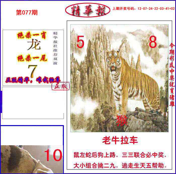 077期新精华报报[图]